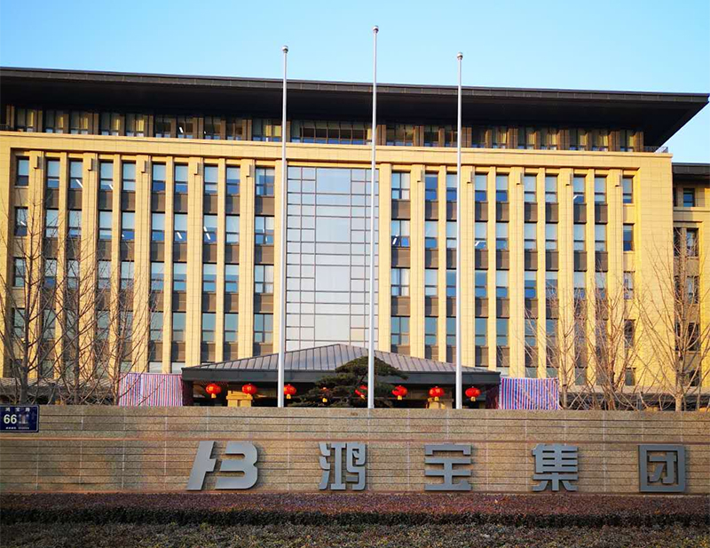 奇异果·电子（中国）官方网站工程 河南鸿宝集团采用美缝和纳米粘砖王